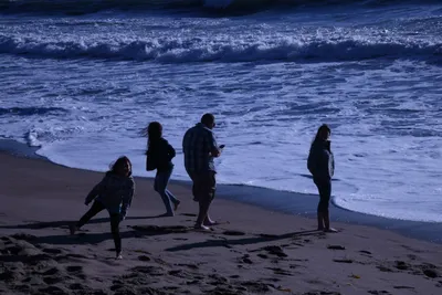 DSC_0388 (Large).JPG